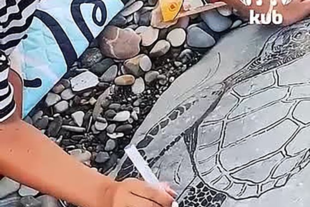 owl_detail_620_d663a13d63112dfe4fbf1616a0fde5be